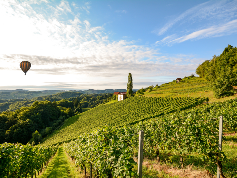 Imagine-se flutuando sobre vinhedos da Toscana antes da colheita. Viva essa aventura!
