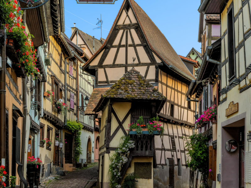 EGUISHEIM, FR - 16 de junho de 2025 - Street view em Eguisheim, Alsácia, França, com uma casa cor-de-rosa de meia-madeira com persianas azuis, flores e plantas trepadeiras 3