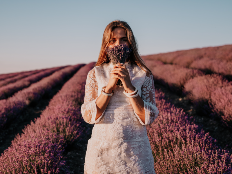 Woman lavender field. Happy carefree woman in a white dress walking in a lavender field and smelling a lavender bouquet on sunset. Ideal for warm and inspirational concepts in wanderlust and travel