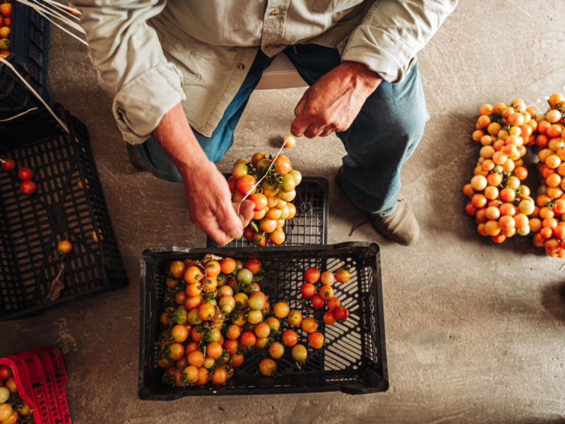 Descubra a Puglia de forma autêntica, vivendo cada detalhe.