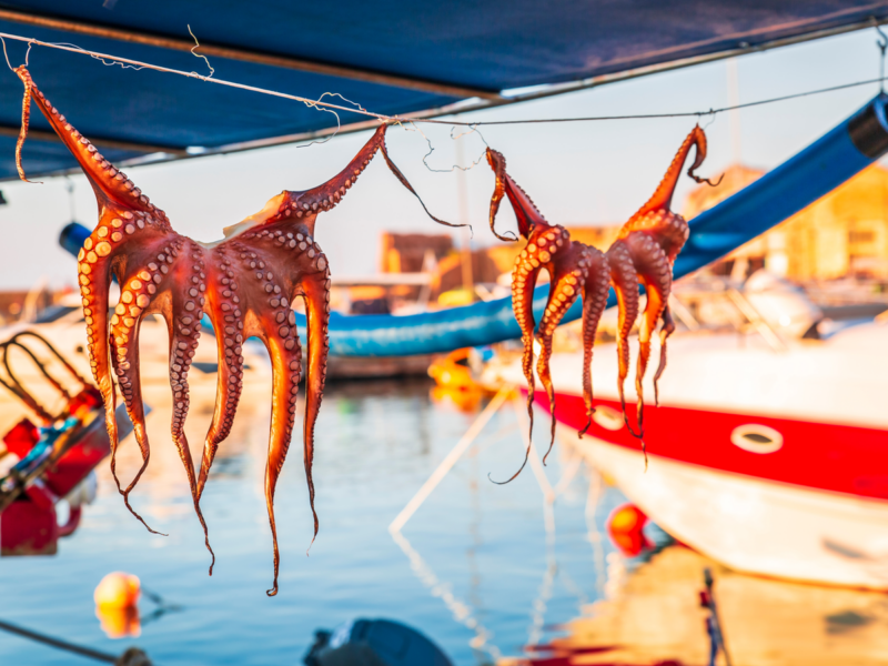 Octopuses hung up to dry on washing lines, Chania, Crete, Greek Islands, Greece, Europe