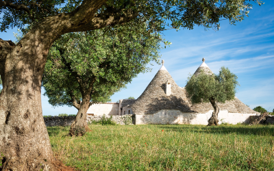 Imagine-se entre as casas trulli, sob antigas oliveiras e céu azul infinito.