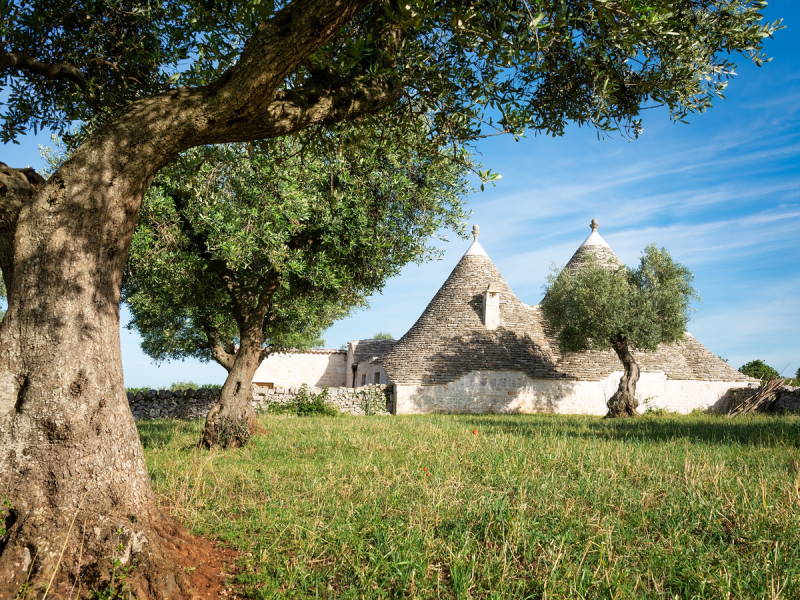 Imagine-se entre as casas trulli, sob antigas oliveiras e céu azul infinito.