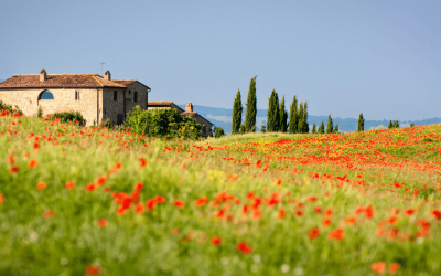 Capas de Roteiros-4-Toscana Capas de Roteiros-4-Toscana