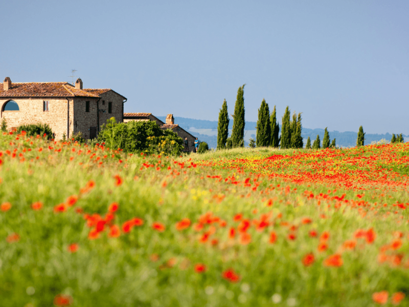 Capas de Roteiros-4-Toscana