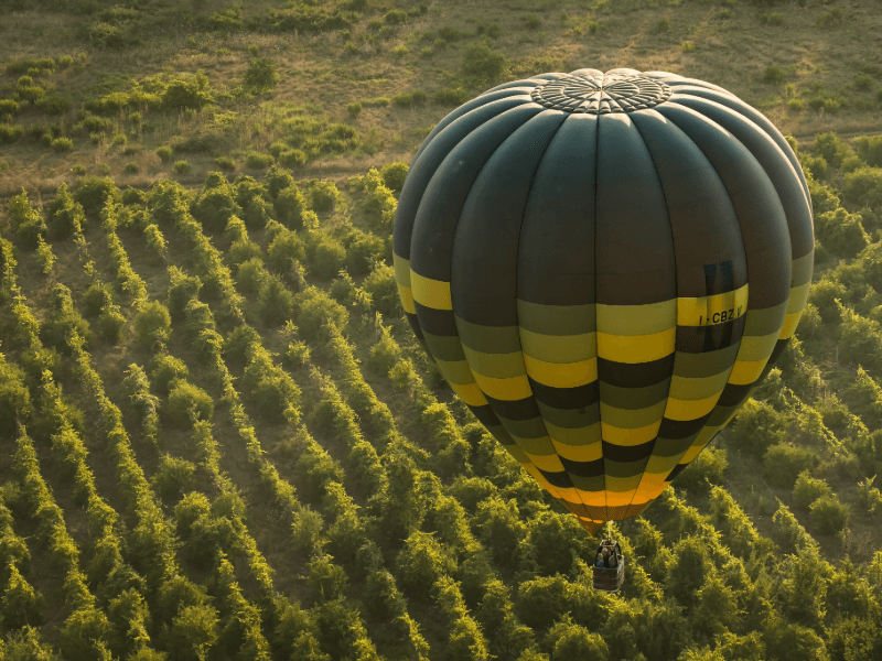 Tours de Balão sobre as Vinícolas de Chianti: Uma Experiência Única na Itália Voe entre os vinhedos do Chianti.