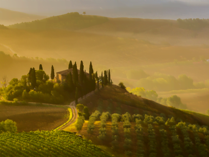 Imagine-se entre vinhedos, histórias e sabores inesquecíveis. Viva Toscana!