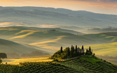 Prove a tradição toscana: descubra o Chianti Classico!