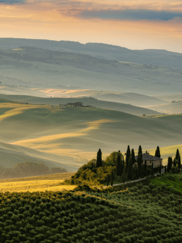 Prove a tradição toscana: descubra o Chianti Classico!