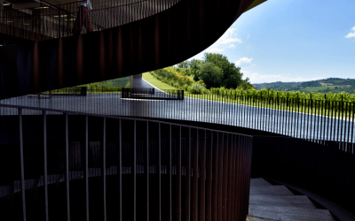 Descubra sabores e viva a tradição milenar da vinícola Antinori!