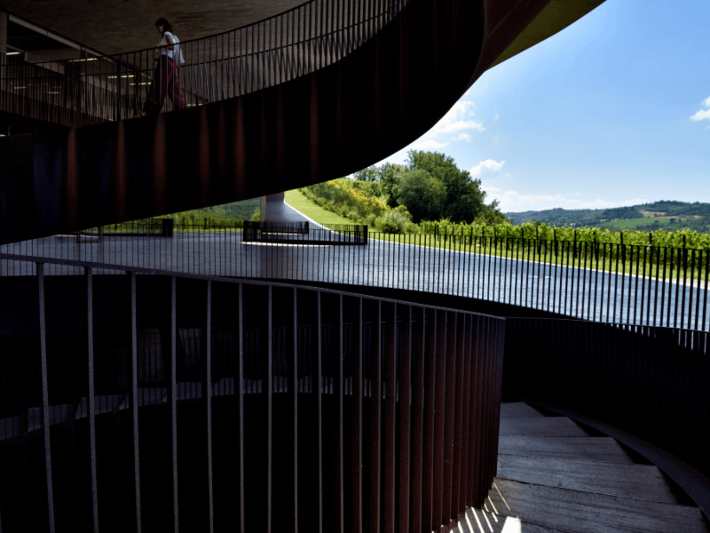 Descubra sabores e viva a tradição milenar da vinícola Antinori!