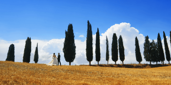 Viva um destination wedding inesquecível entre vinhedos e vilas históricas. Imagine-se celebrando o amor com sabores, vinhos e paisagens únicas da Itália.