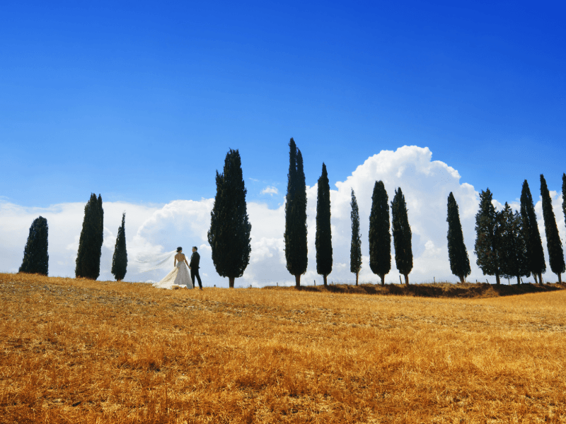 Viva um destination wedding inesquecível entre vinhedos e vilas históricas. Imagine-se celebrando o amor com sabores, vinhos e paisagens únicas da Itália.