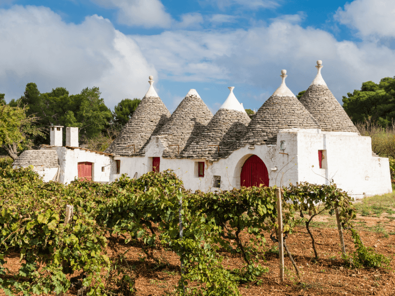 Explore vinícolas autênticas em Puglia Explore vinícolas autênticas em Puglia.