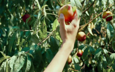 Itália viagem cinema 16-9