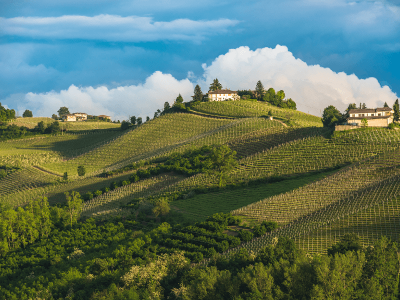 Imagine-se em uma villa cercada por vinhedos ondulantes do Piemonte italiano.