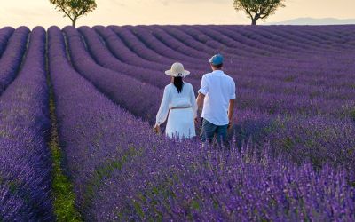 Viva campos coloridos de lavanda no Platô de Valensole!