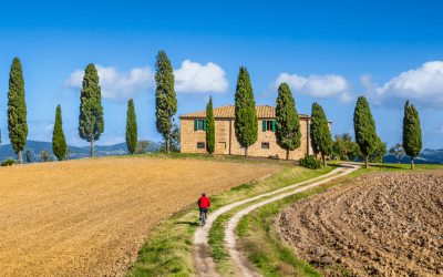 Descubra a Toscana de bicicleta com um roteiro personalizado, explorando vinhedos e paisagens inesquecíveis.