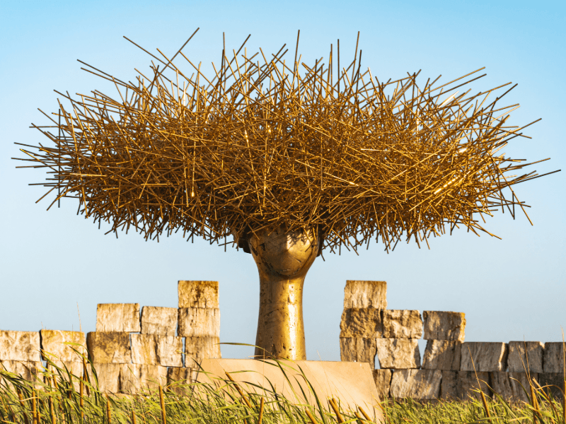 Degustação de vinhos e show exclusivo de Andrea Bocelli no Teatro del Silenzio.