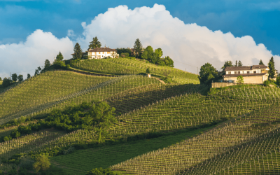 Explore vinícolas, pratos típicos e vistas deslumbrantes com um roteiro exclusivo no Piemonte.
