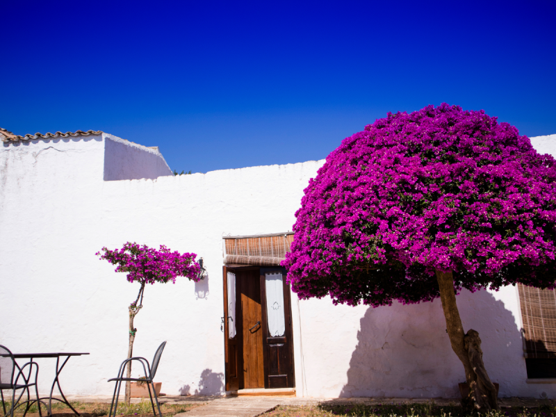 Descubra cantinhos únicos da Puglia com dicas de quem esteve lá.