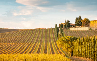 Sabores do Outono na Toscana-1