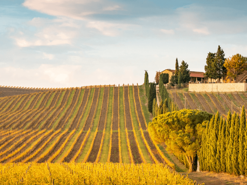 Sabores do Outono na Toscana-1