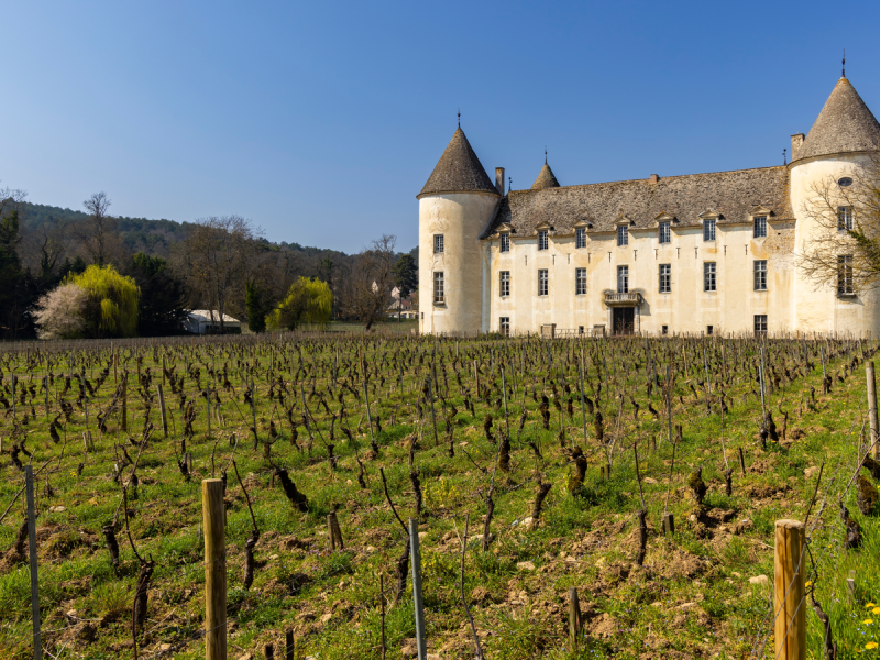 Savigny-les-Beaune castle (Chateau de Savigny-les-Beaune), Cote de Nuits, Burgundy, France