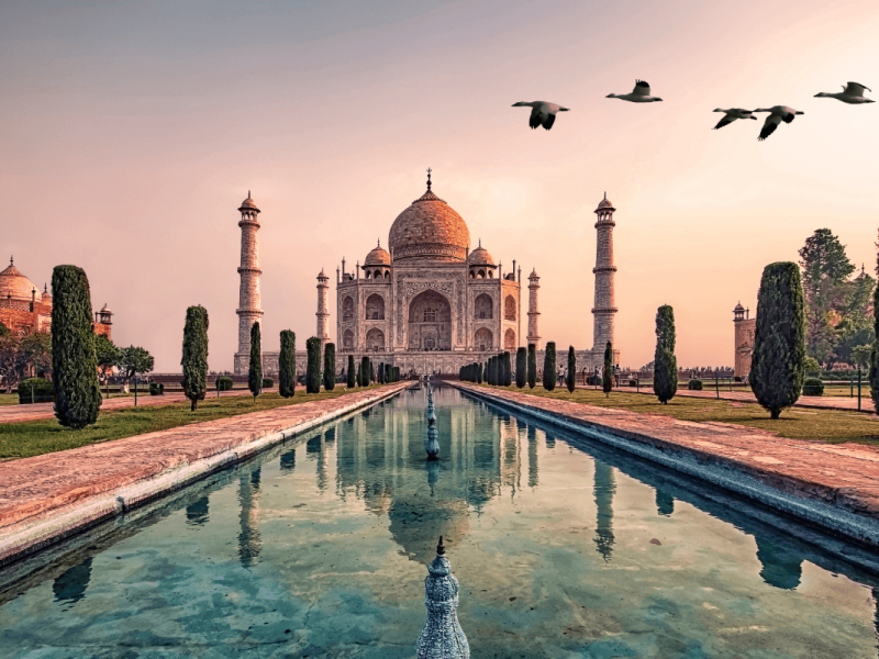 Sem título (1) Sem título (1)