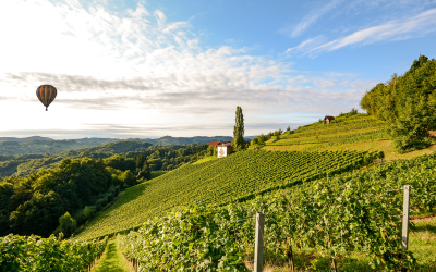 Imagine-se flutuando sobre vinhedos da Toscana antes da colheita. Viva essa aventura!
