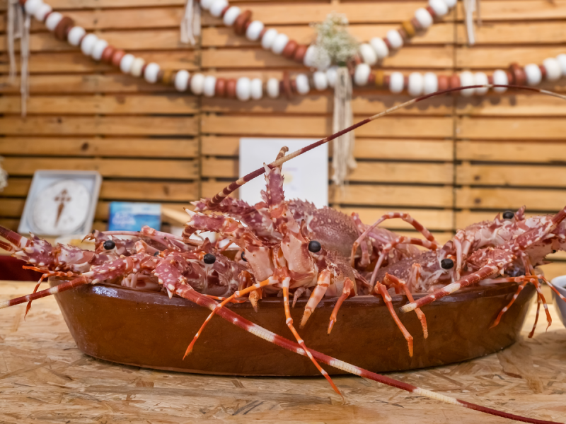 Prove lagostas frescas do Atlântico no Festival da Guarda!