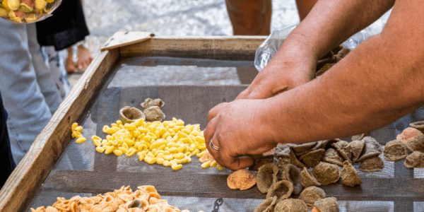 Prove o autêntico orecchiette.