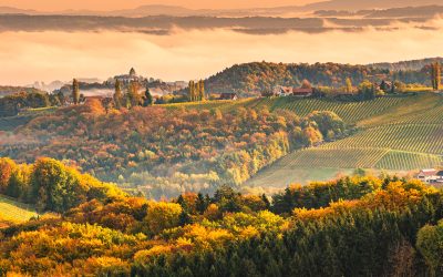 Winery in south Styri, Austria. Panoramic view at hills of wine road. Famous Tuscany like destination_1200_900